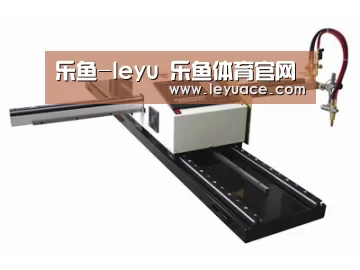 案例展示一