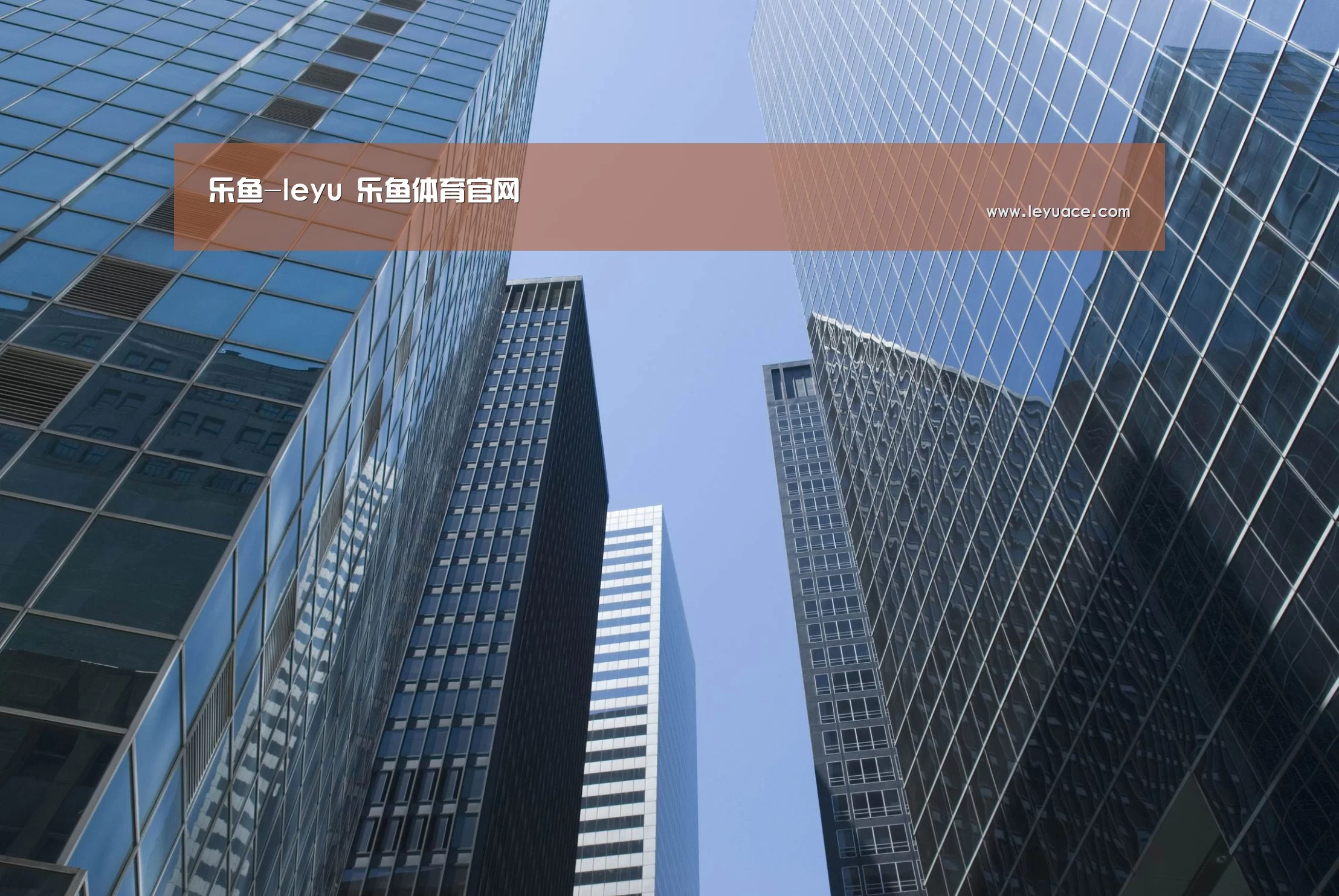 乐鱼网站公司简介 