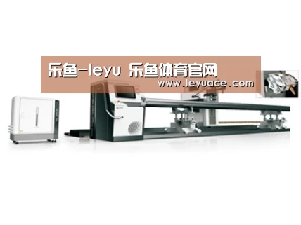 视频展示一