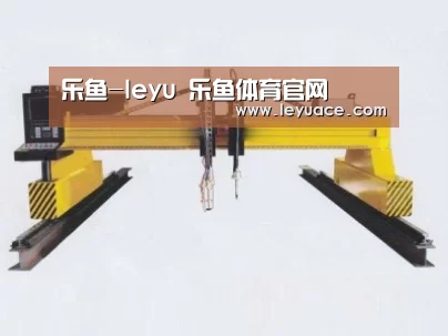 产品名称十七