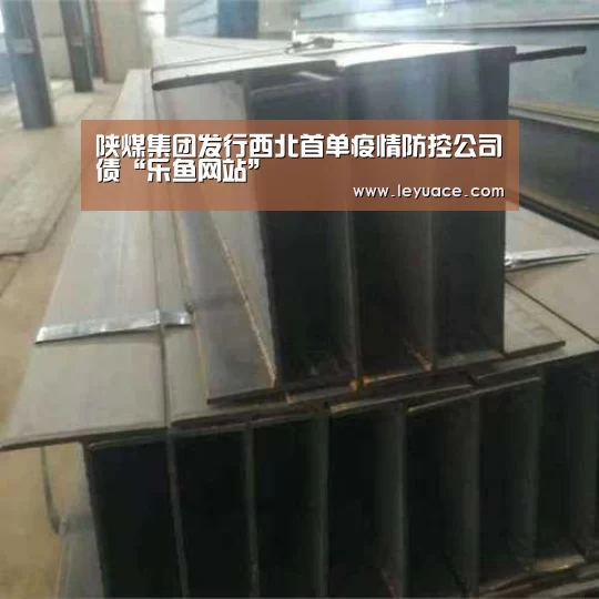 陕煤集团发行西北首单疫情防控公司债“乐鱼网站”(图2) 乐鱼LEYU