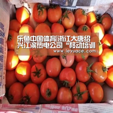 乐鱼中国体育