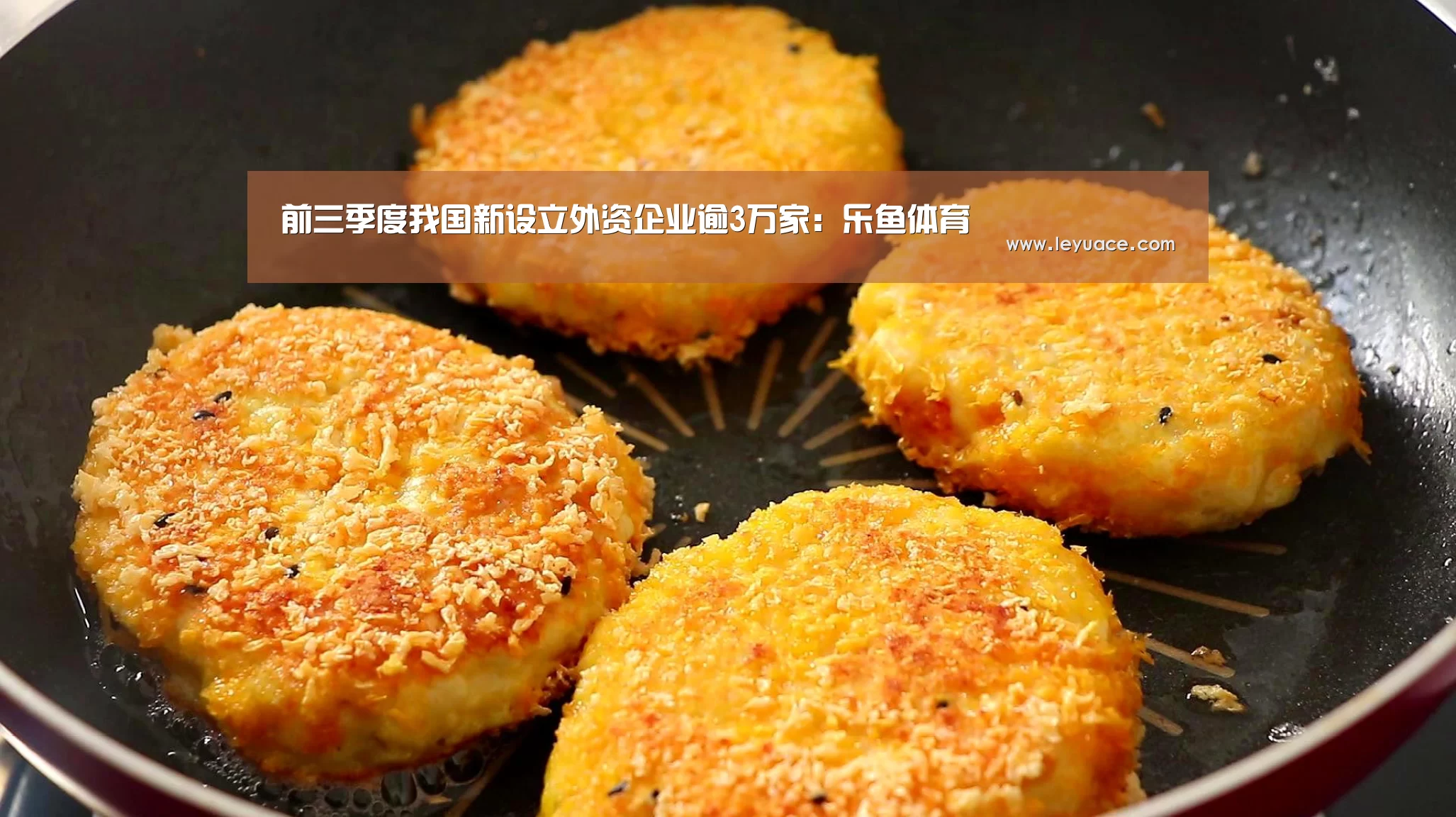 前三季度我国新设立外资企业逾3万家:乐鱼体育(图1) 乐鱼网站