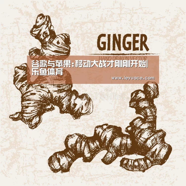 乐鱼体育