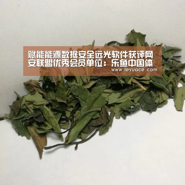 赋能能源数据安全远光软件获评网安联盟优秀会员单位:乐鱼中国体育(图1) 乐鱼LEYU