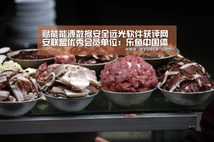 赋能能源数据安全远光软件获评网安联盟优秀会员单位:乐鱼中国体育(图4) 乐鱼中国体育