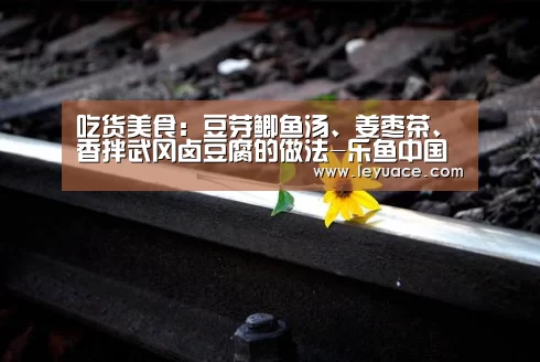 乐鱼中国体育