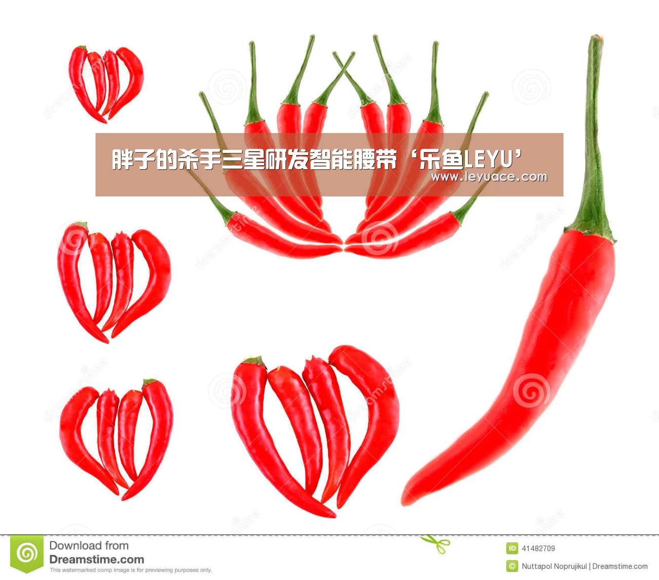 乐鱼LEYU