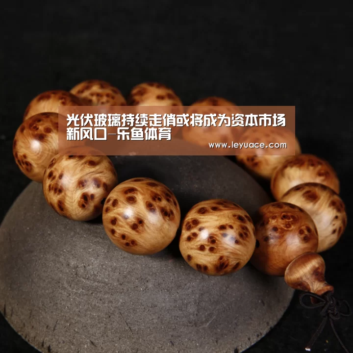 乐鱼网站
