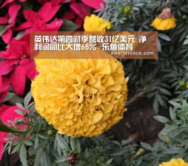 乐鱼中国体育