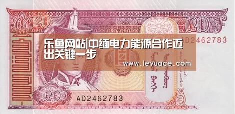 乐鱼网站