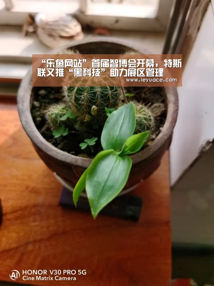 “乐鱼网站”首届智博会开幕,特斯联又推“黑科技”助力展区管理(图1) 乐鱼LEYU