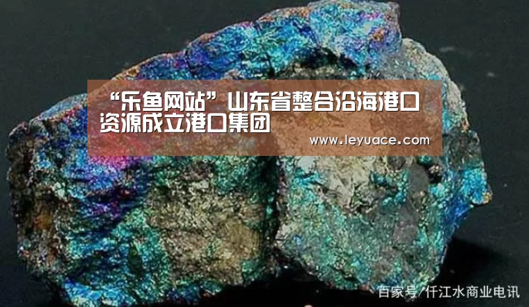 “乐鱼网站”山东省整合沿海港口资源成立港口集团(图4) 乐鱼体育