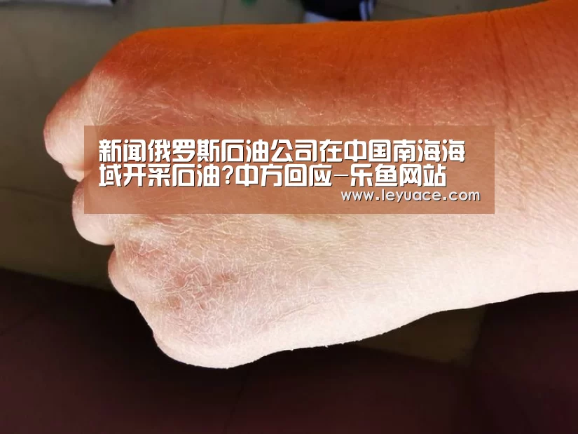 乐鱼网站