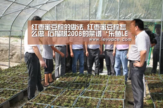 乐鱼中国体育